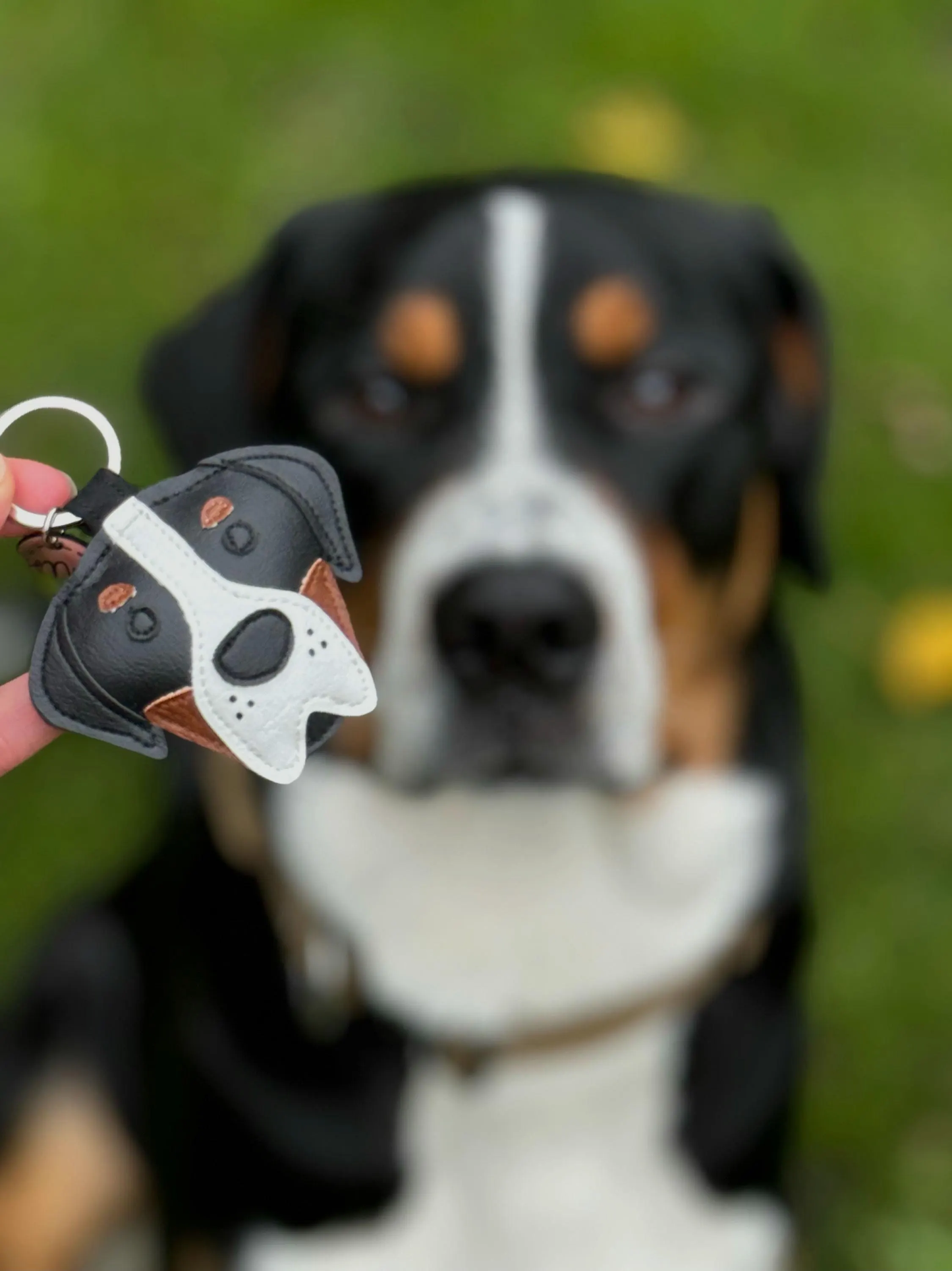 Obesek švicarski planšar